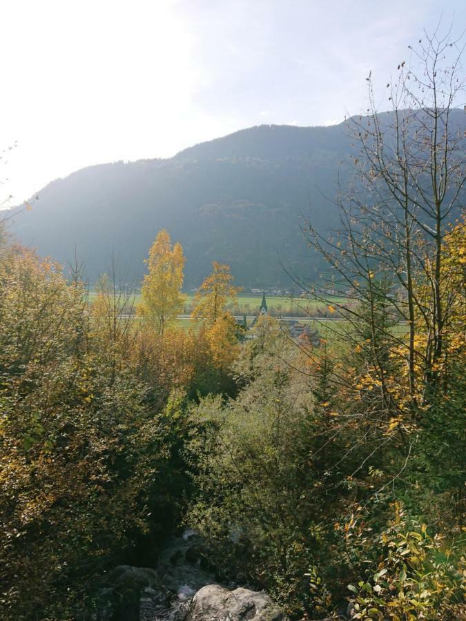 Apart Pfister Aschau Im Zillertal Экстерьер фото